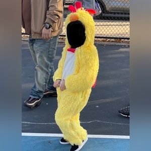 Chicken kids costume